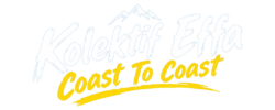 logo web
